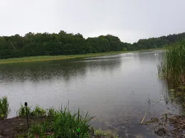 Kniepower See (Karnitz)