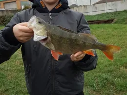 Mittellandkanal (Bad Essen)