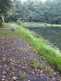 Angelteich Silbergrund-1