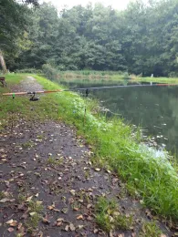 Angelteich Silbergrund-3