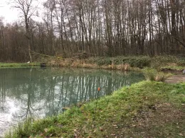 Angelteich Silbergrund-4