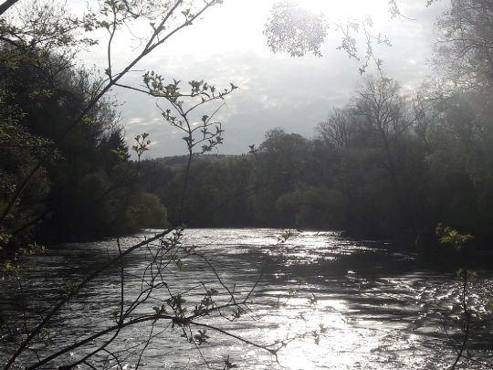 Loisach (Eurasburg)-2