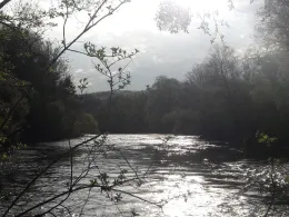 Loisach (Eurasburg)-2