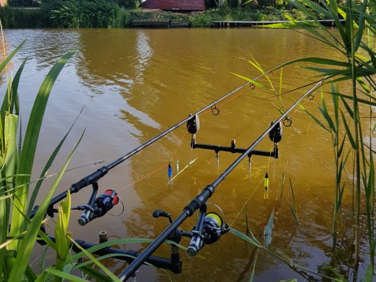 Herzhorner Rhin (Glückstadt)-1