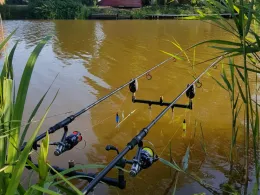 Herzhorner Rhin (Glückstadt)-1