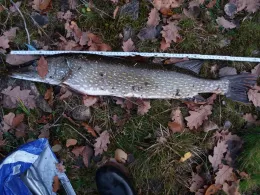 Talsperre Klingenberg-4