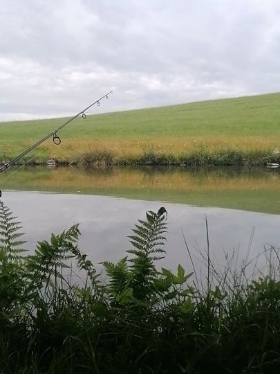 Friedrich Thomandl Jausenstation Fischerei-1