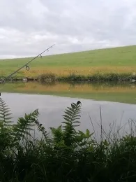 Friedrich Thomandl Jausenstation Fischerei-1