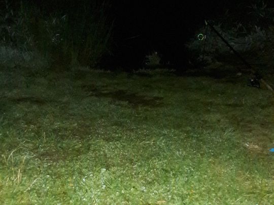 Rückhaltebecken Göda-1