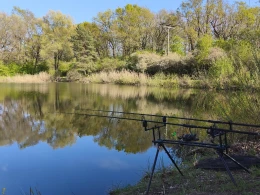 Küchenhorn (Wolmirstedt)