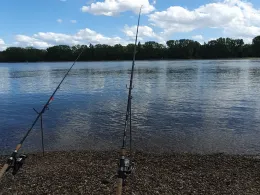 Rhein (Worms-Rheindürkheim)