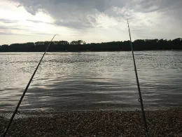 Rhein (Worms-Rheindürkheim)-1