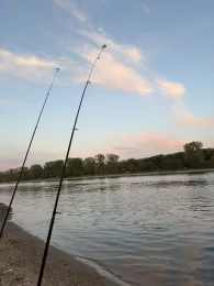 Rhein (Worms-Rheindürkheim)-3