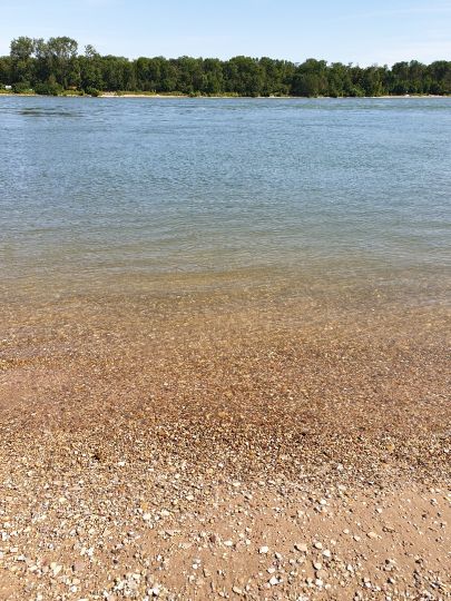 Rhein (Worms-Rheindürkheim)-3