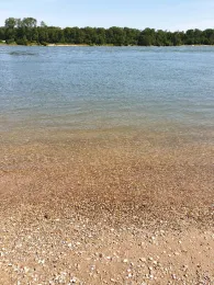 Rhein (Worms-Rheindürkheim)-3