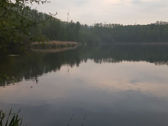 Neurather See-3