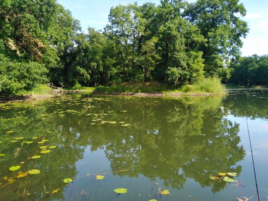 Wallwitzsee (Dessau)-2