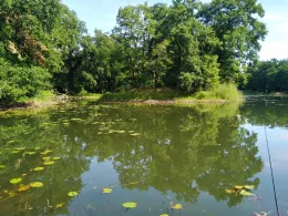 Wallwitzsee (Dessau)-2