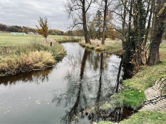 Große Röder (Medingen)