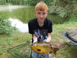 Josefsee (Westbevern)