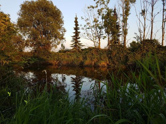 Aue/Lühe (Horneburg)-3