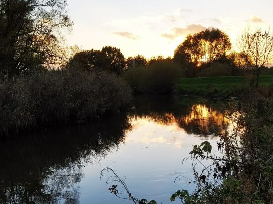 Aue/Lühe (Horneburg)-1