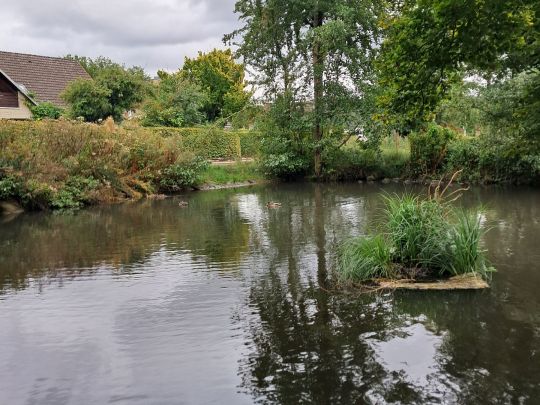 Graben Gut Sandbeck (Osterholz-Scharmbeck)-1