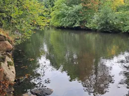 Graben Gut Sandbeck (Osterholz-Scharmbeck)-2