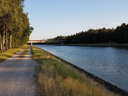 Elbe-Seitenkanal (Sassenburg-Stüde) angeln