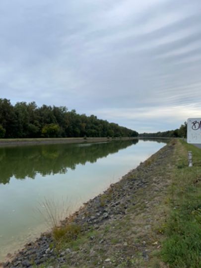 Elbe-Seitenkanal (Sassenburg-Stüde)-4