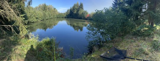 Weiher (Parkstetten)