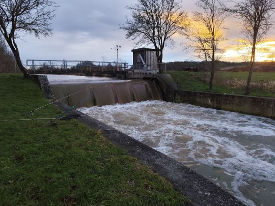 Schmutter (Batzenhofen)-3