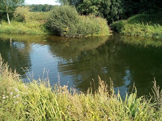 Stever (Olfen)
