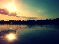 Rather See (Köln)-1