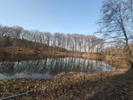 Saerbecker Mühlenteich-2