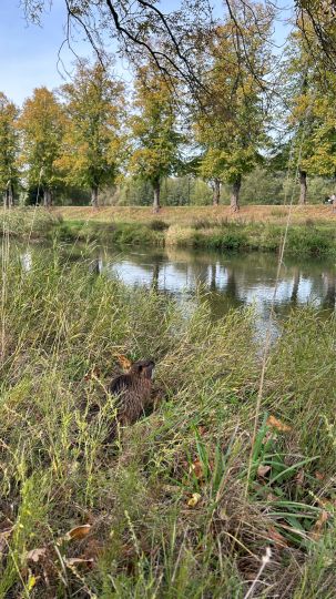 Schwarze Elster (Bad Liebenwerda)-2