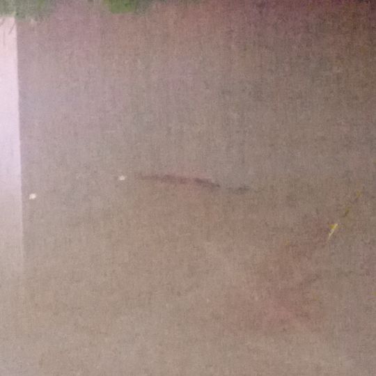 Pulsnitz (Elsterwerda)-2