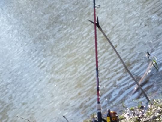 BSG-Teich (Gronau)-2