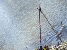 BSG-Teich (Gronau)-2