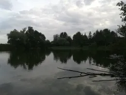 Tonkuhle Ihme-Roloven