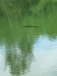 Ziegeleiteich Hecklingen