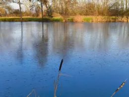 Vehsenmühle (Gräfenhainichen)-2