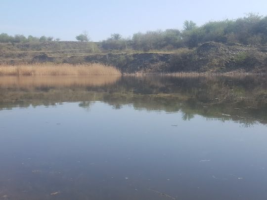 Mergelbruch Schwanebeck