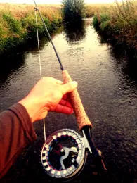 Holtemme (Halberstadt)-3