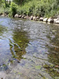 Holtemme (Halberstadt)-2