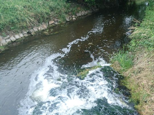 Holtemme (Halberstadt)-1