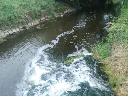 Holtemme (Halberstadt)-1