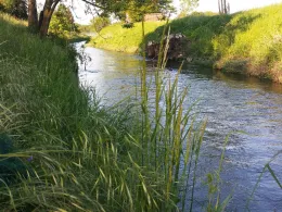 Holtemme (Halberstadt)-4