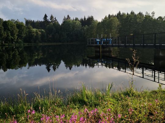 Neuer Teich (Gernrode) ALLE ANGELN