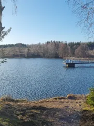 Neuer Teich (Gernrode)-4